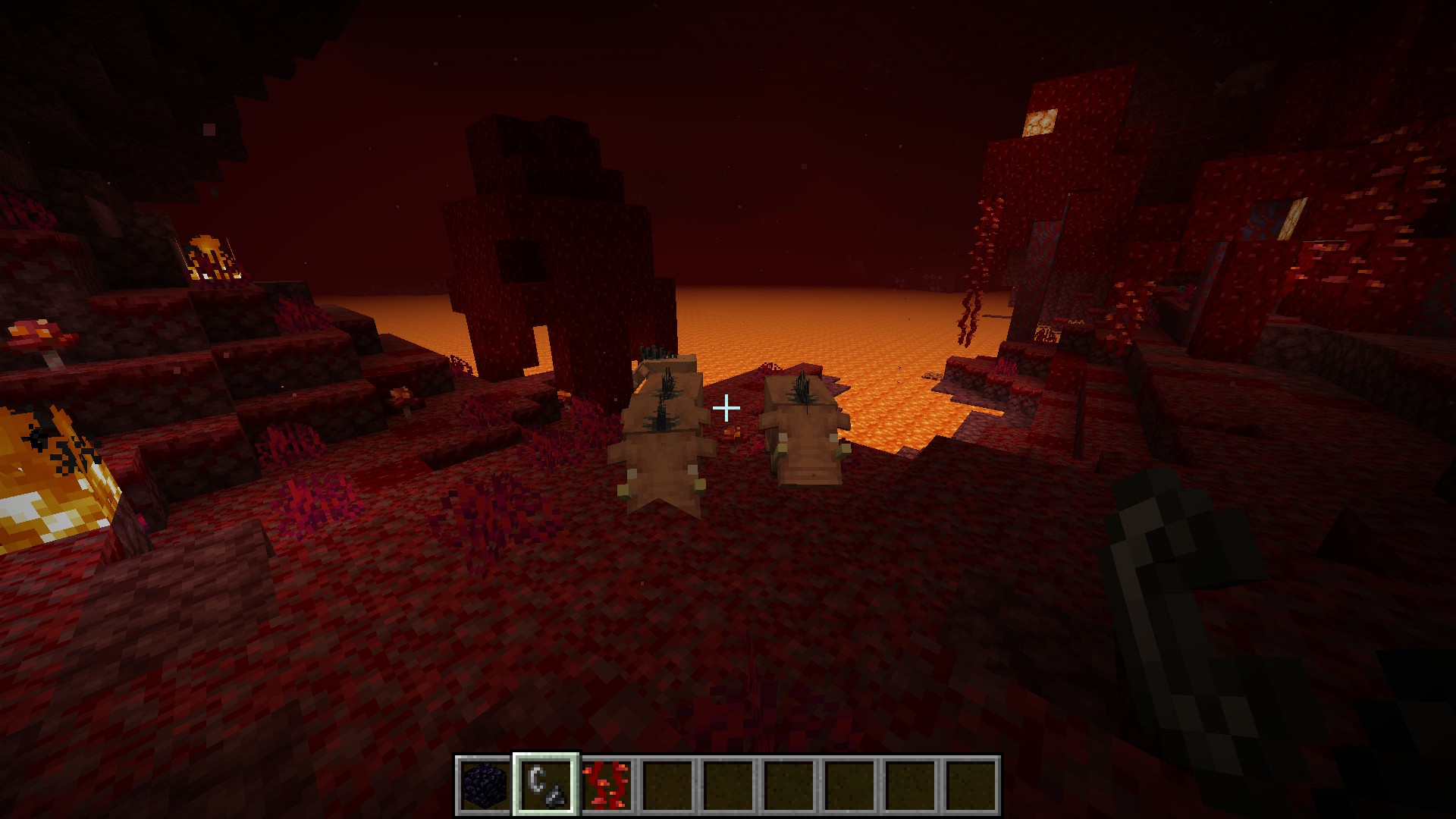 Minecraft releases Nether Update 1.16 snapshot with new biomes