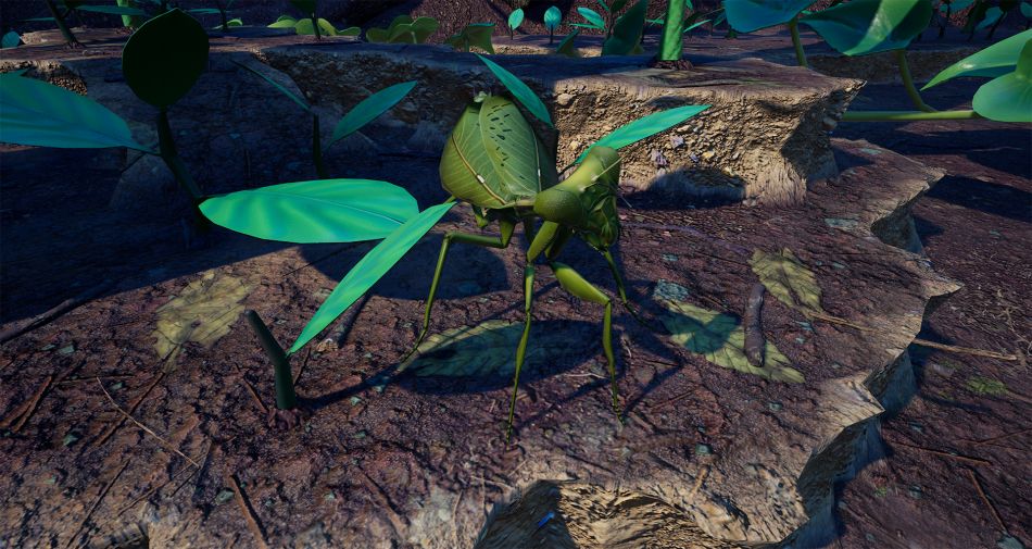 empire of the undergrowth leaf cutter ants resources