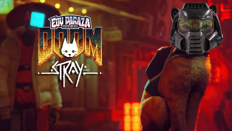 Stray DOOM