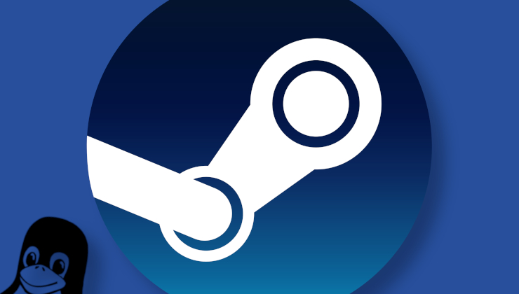 Steam + Linux
