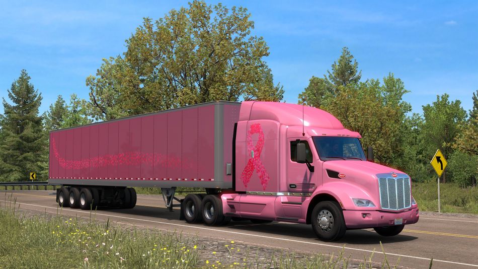 Euro Truck Simulator 2, Software