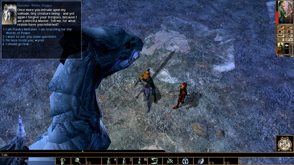 Neverwinter on Steam