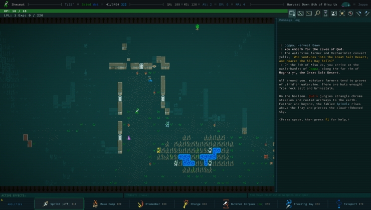 Caves of Qud