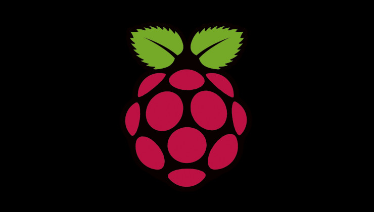 Raspberry Pi Logo